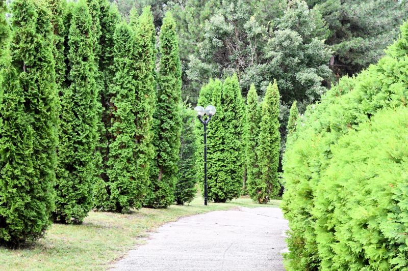 Cement Pathway Installation