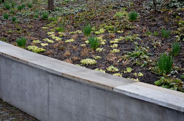 Concrete Wall Construction in Holly Springs