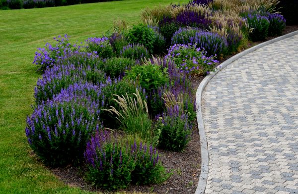 Sidewalk Curb Installation in Holly Springs