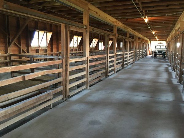 Barn Slab Construction in Holly Springs