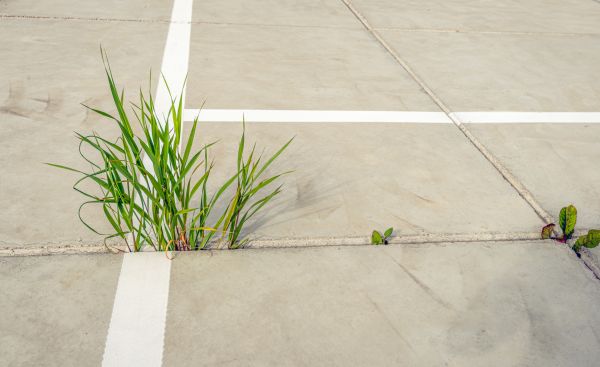 Concrete Parking Installation in Holly Springs