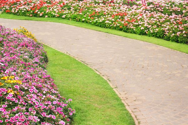 Concrete Walkway Service in Holly Springs