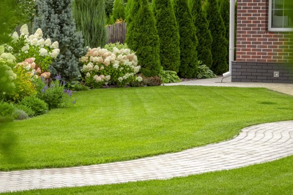 Landscape Walkway Installation in Holly Springs
